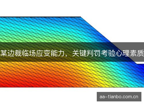 某边裁临场应变能力，关键判罚考验心理素质