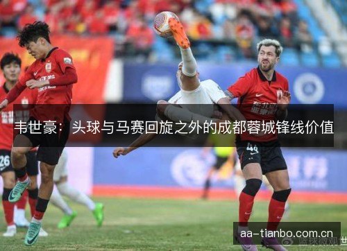 韦世豪：头球与马赛回旋之外的成都蓉城锋线价值